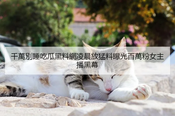 千萬別睡吃瓜黑料網凌晨放猛料曝光百萬粉女主播黑幕